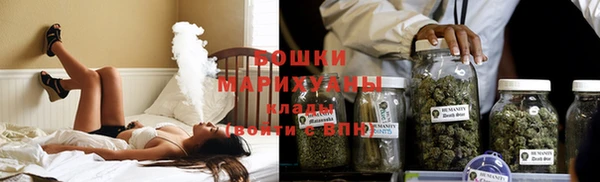 сатива Медногорск