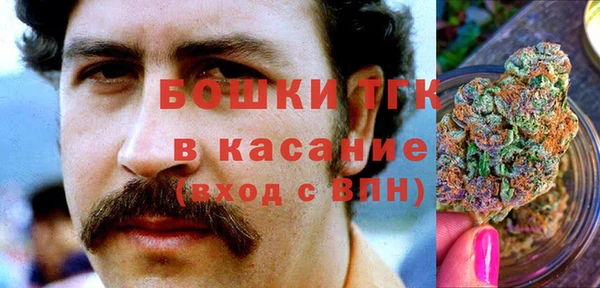 прущие грибы Мегион