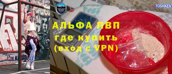 сатива Медногорск