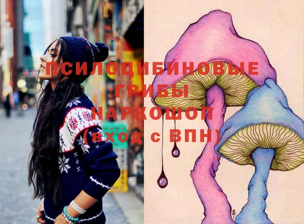 прущие грибы Мегион