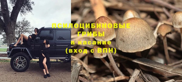 прущие грибы Мегион