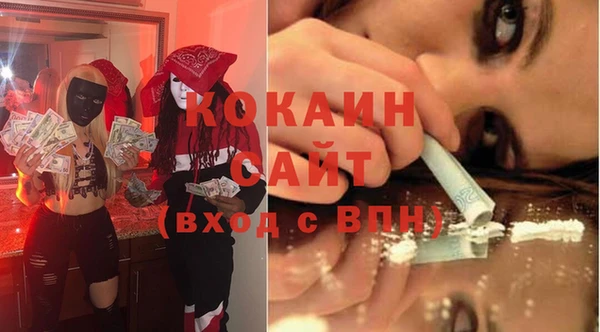 прущие грибы Мегион